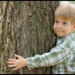 Дендротерапия – лечение с помощью деревьев